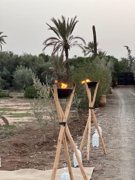 Villa Oasis De La Palmeraie Marrakesh Extérieur photo